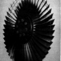 gene_aubes_nasa_image_rotor1b.png