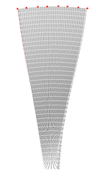 rotor51.png
